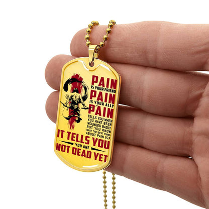 Samurai - PAIN - You Are Not Dead Yet - Bushido - Katana - Ronin - Samurai Dog Tag - Military Ball Chain - Luxury Dog Tag
