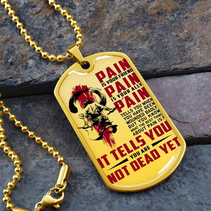 Samurai - PAIN - You Are Not Dead Yet - Bushido - Katana - Ronin - Samurai Dog Tag - Military Ball Chain - Luxury Dog Tag