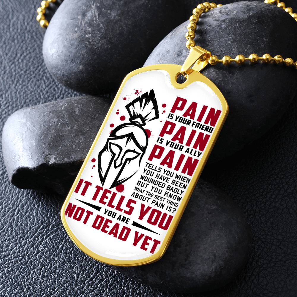 Warrior - PAIN - You Are Not Dead Yet - Sparta - Spartan - Warrior Dog Tag - Military Ball Chain - Luxury Dog Tag