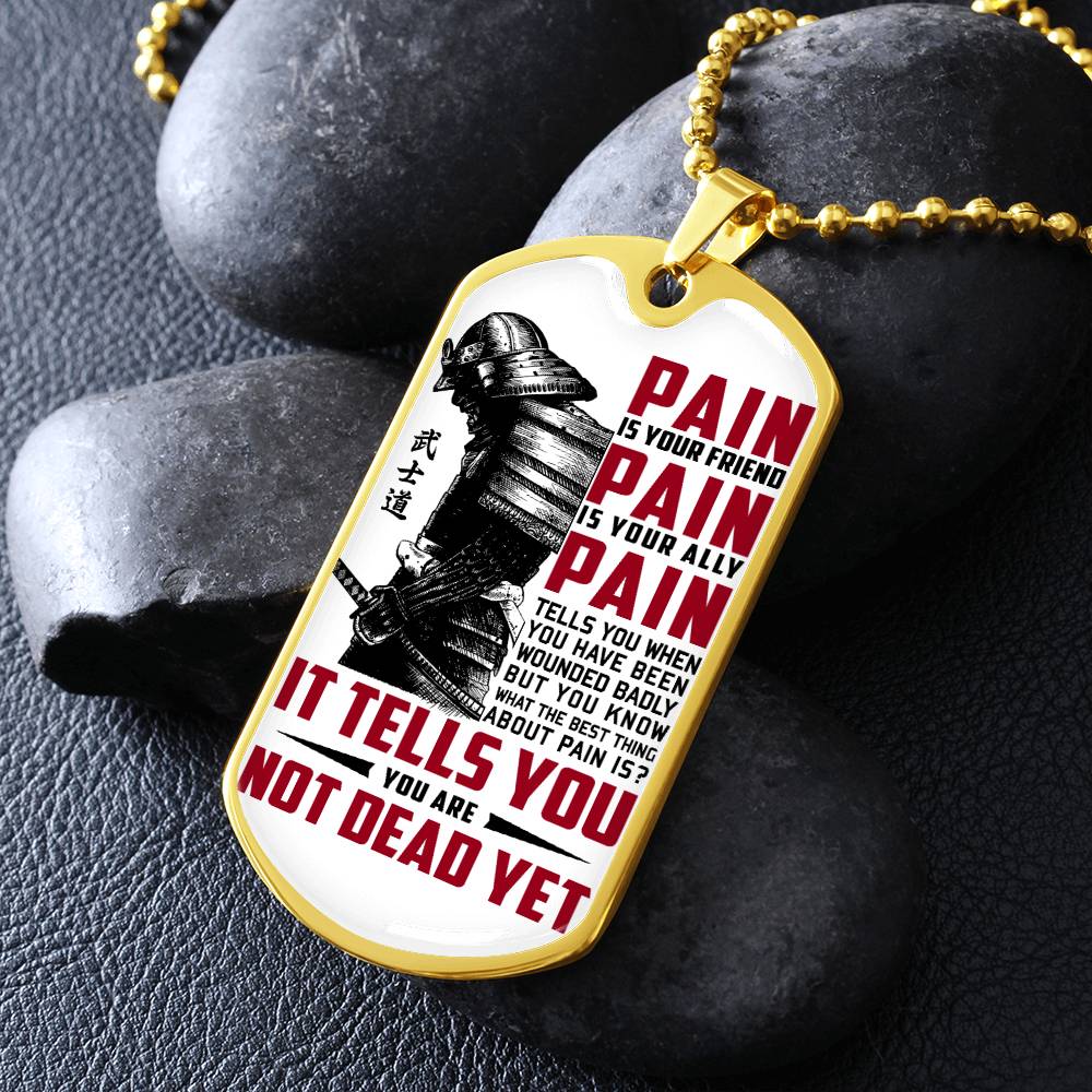 Samurai - PAIN - You Are Not Dead Yet 2 - Bushido - Katana - Ronin - Samurai Dog Tag - Military Ball Chain - Luxury Dog Tag