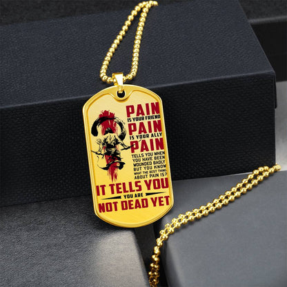 Samurai - PAIN - You Are Not Dead Yet - Bushido - Katana - Ronin - Samurai Dog Tag - Military Ball Chain - Luxury Dog Tag